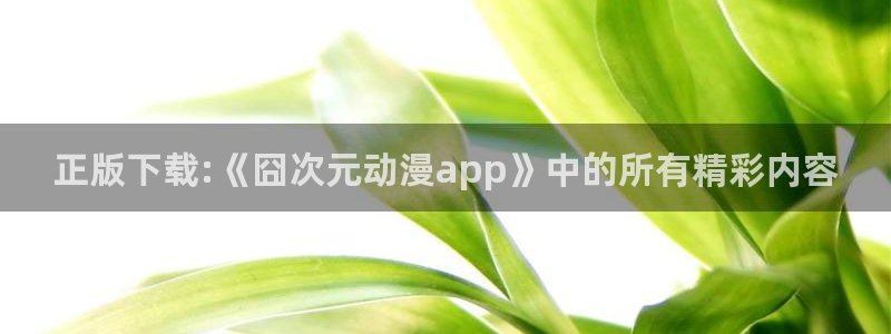 风车动漫番剧：正版下载:《囧次元动漫app》中的所有精彩内容