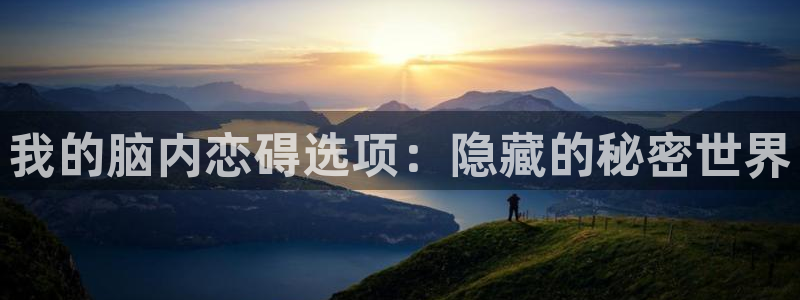 风车动漫与：我的脑内恋碍选项：隐藏的秘密世界