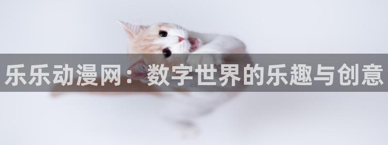 another风车动漫：乐乐动漫网：数字世界的乐趣与创意